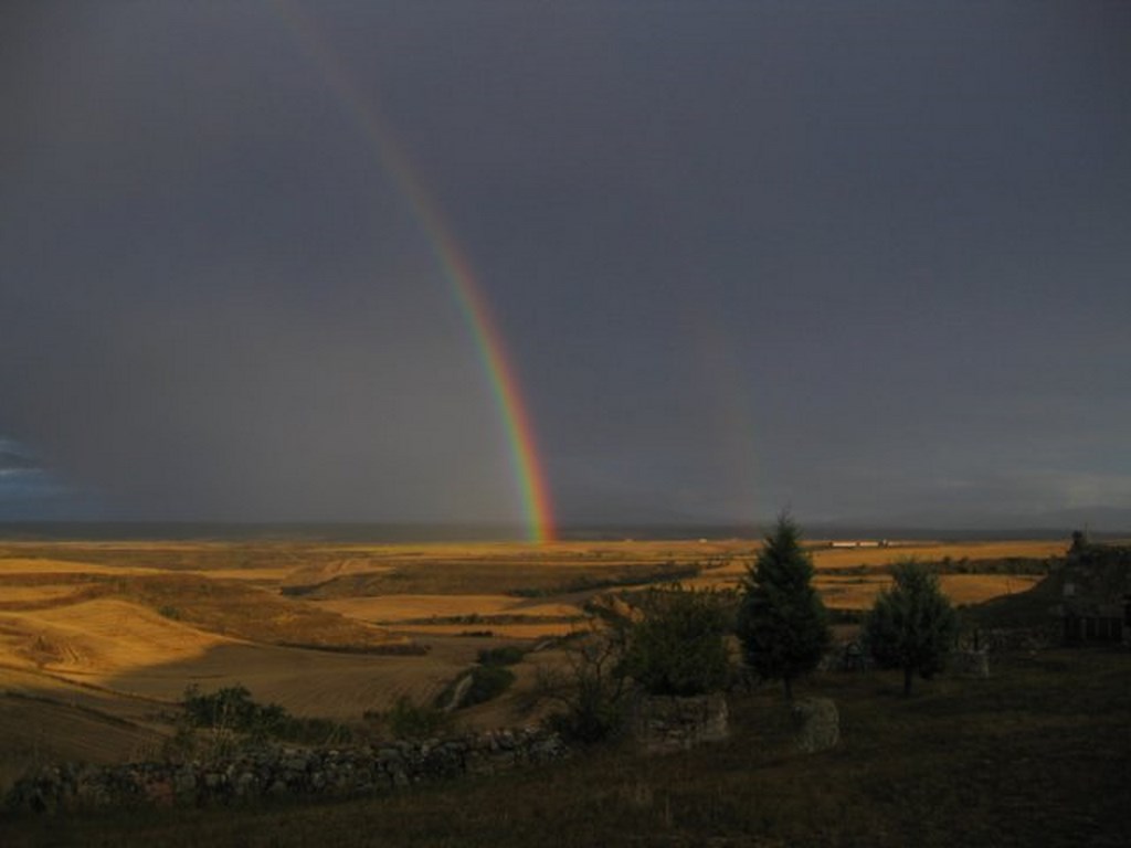 Fotografía de la galería de imágenes con id: 865
